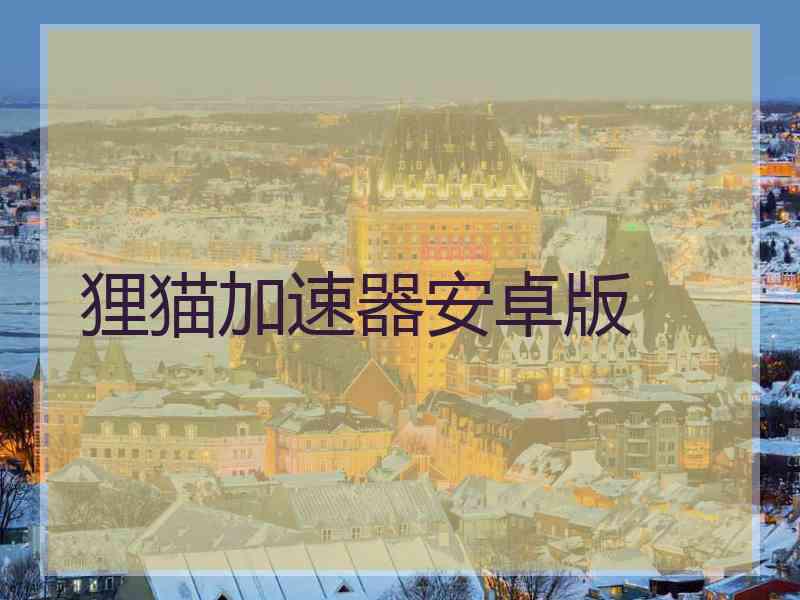 狸猫加速器安卓版 狸猫加速器安卓版